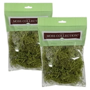 Preserved Spanish Moss - Premium Decorative Moss for Crafts, Home D cor, Art, Design & DIY Projects - Real Moss - Non-Toxic, USA-Made Chartreuse, Small, 2-Pack