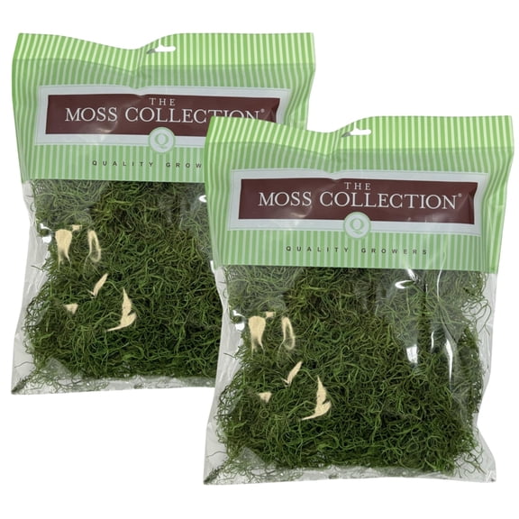 Preserved Spanish Moss - Premium Decorative Moss for Crafts, Home Décor, Art, Design & DIY Projects - Real Moss - Non-Toxic, USA-Made (Green Apple, Medium, 2-Pack)