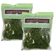 Preserved Spanish Moss - Premium Decorative Moss for Crafts, Home D cor, Art, Design & DIY Projects - Real Moss - Non-Toxic, USA-Made Green Apple, Medium, 2-Pack