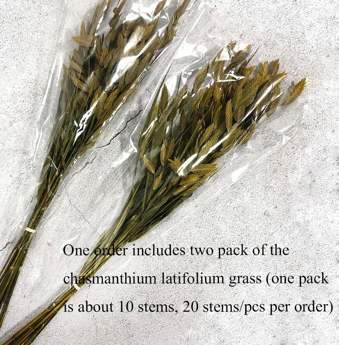 Preserved Wild Oats Flower Bouquet, 18 Inch Natural Chasmanthium