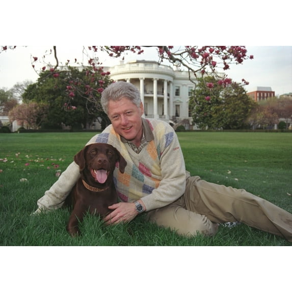 President Bill Clinton With His A Male Chocolate-Colored Labrador Retriever History (36 x 24)