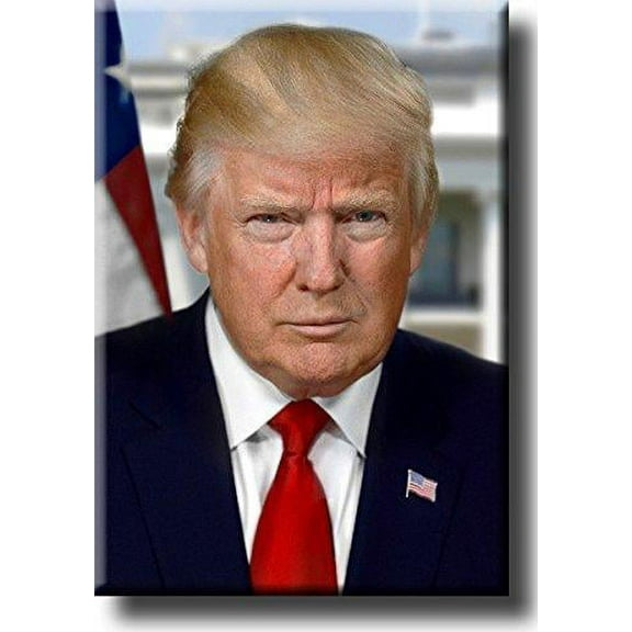 President Donald Trump Portrait Picture on Stretched Canvas Wall Art D?cor, Ready to Hang!