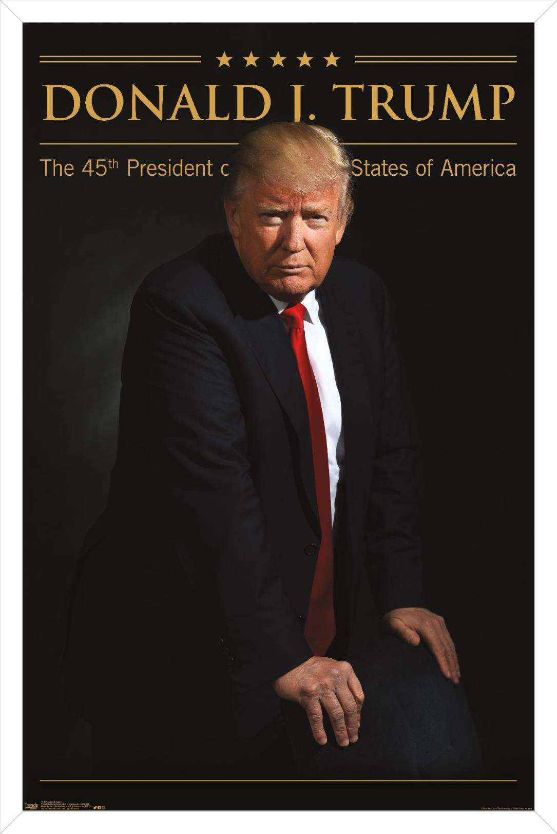 President Donald Trump Wall Poster, 14.725" x 22.375", Framed