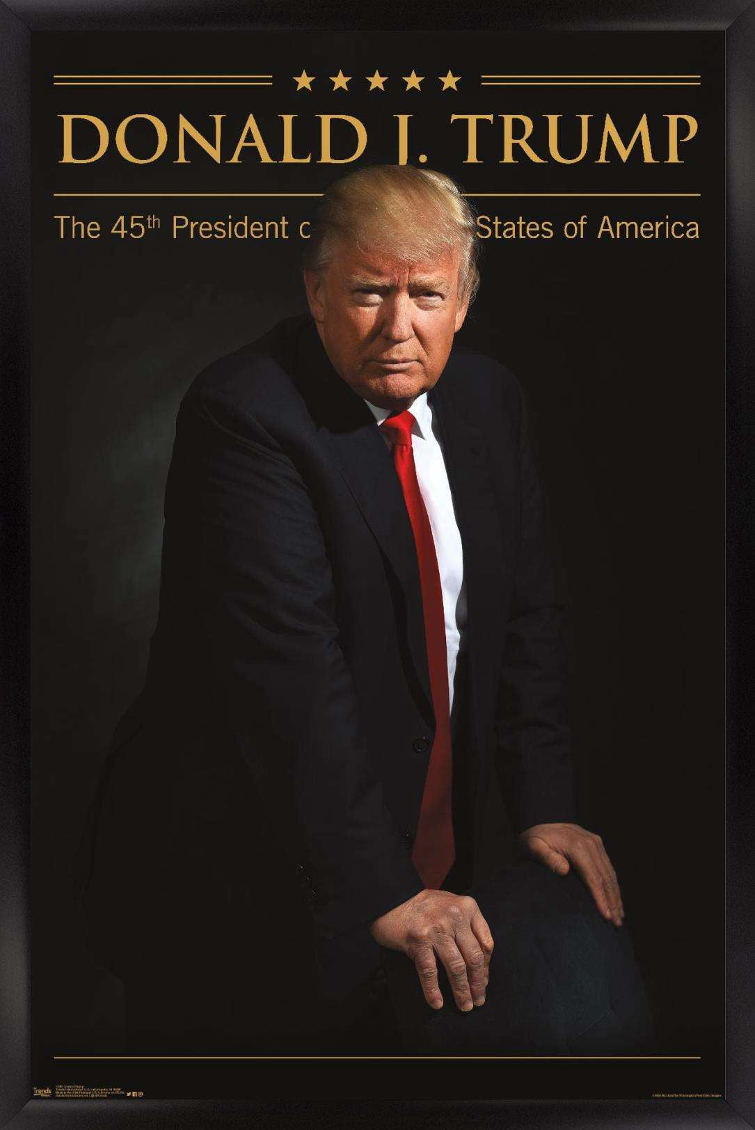 President Donald Trump Wall Poster, 14.725" x 22.375", Framed