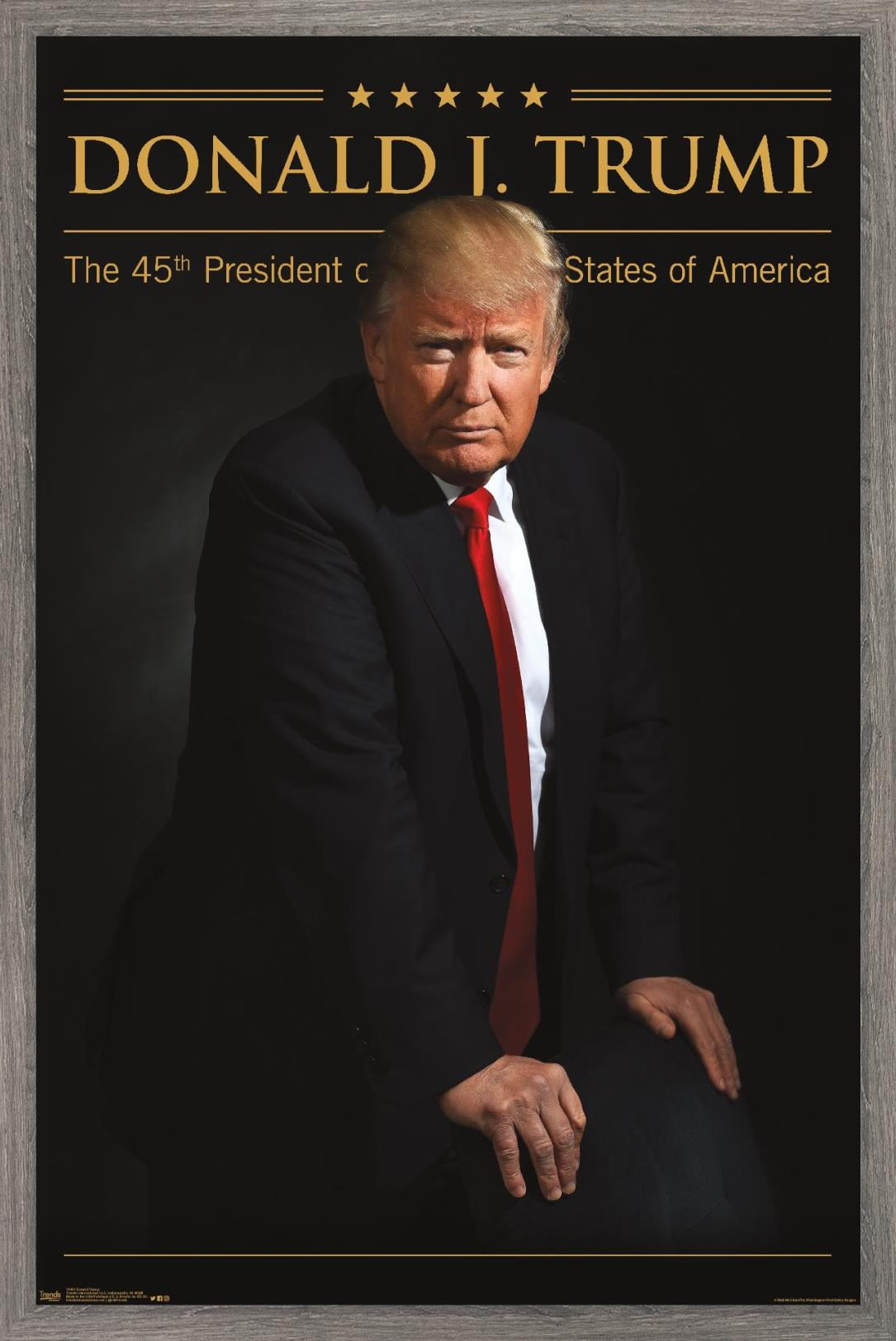 President Donald Trump Wall Poster, 22.375