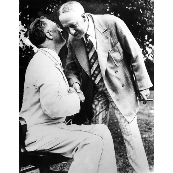 President Franklin D. Roosevelt History (24 x 36)