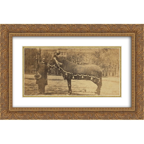 President Lincoln's horse, Old Robin 24x20 Double Matted Gold Ornate Framed Art Print