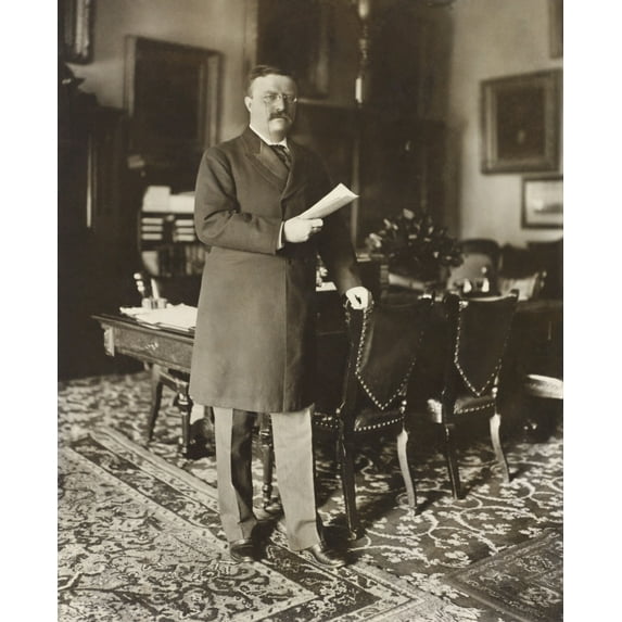 President Theodore Roosevelt History (18 x 24)