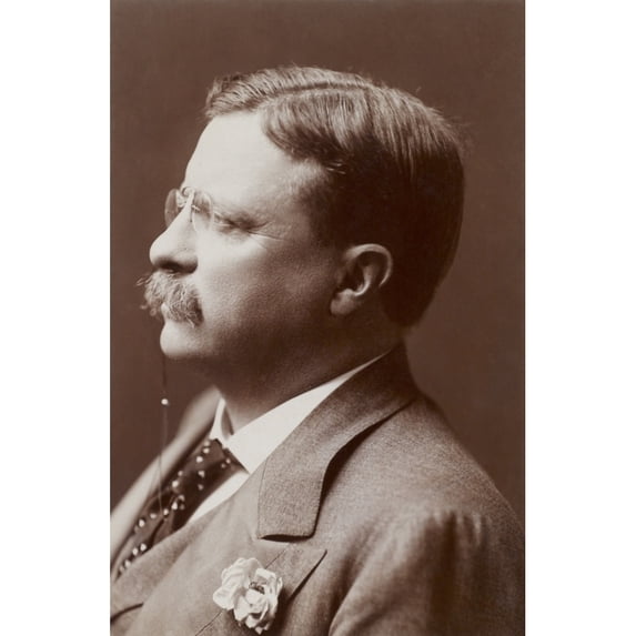 President Theodore Roosevelt History (24 x 36)