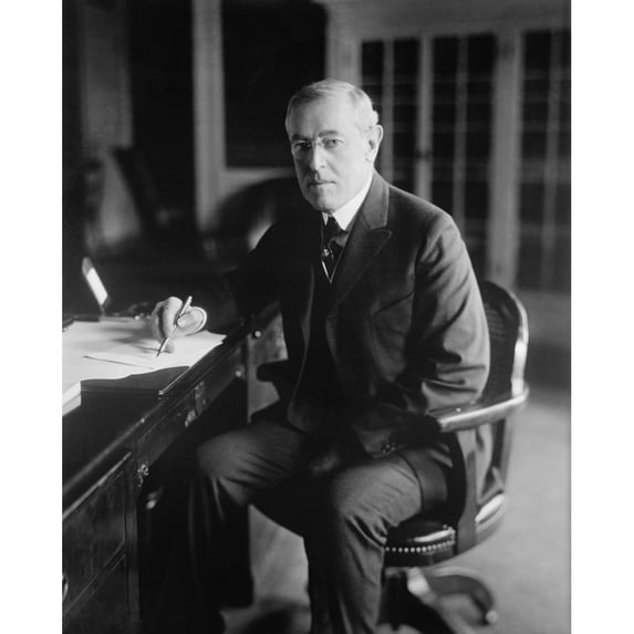 President Woodrow Wilson History (18 x 24)
