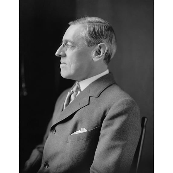 President Woodrow Wilson History (24 x 36)