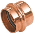 thumbnail image 1 of Press Cap 2 In., 1 of 1