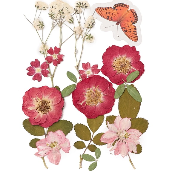 Pressed Dried Flowers for Cellphone Photo Frame Scrapbooking DIY and Resin Art Floral Decors 137x100x0.3mm Dried Flower