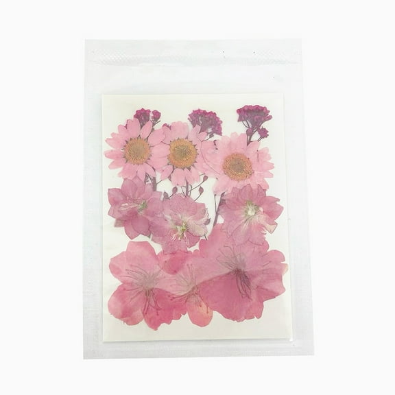 Pressed Dried Flowers for Cellphone Photo Frame Scrapbooking DIY and Resin Art Floral Decors Pale Violet Red 99x74x1mm DIY