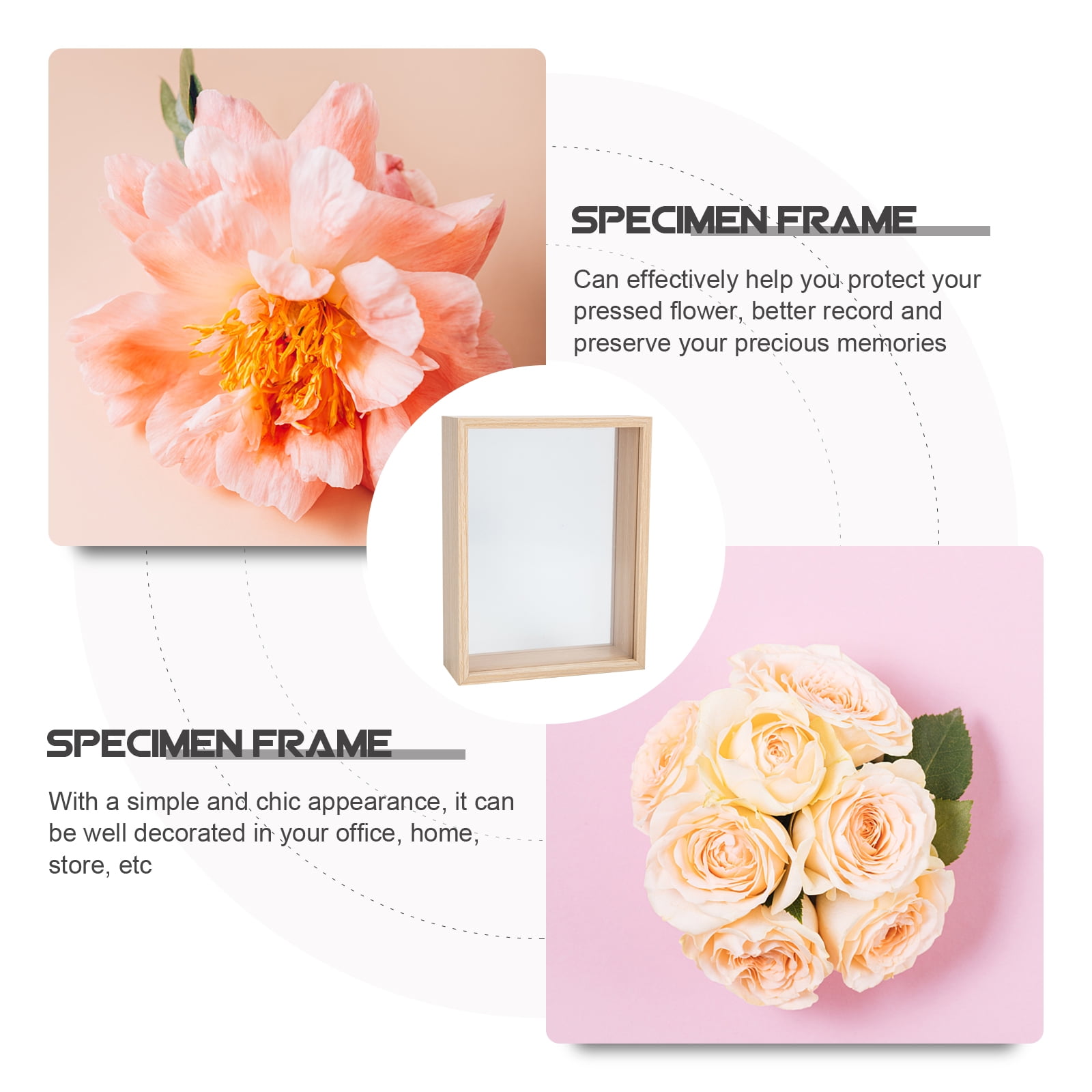 Pressed Flower Frames Press Flower Box Dry Flower Display Frame DIY Flower Frame Specimen