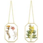 Pressed Flower Glass Frame Set, 2 Pack Metal Floating Picture Frames, Octagon Hanging Display with Chain, Herbarium Photo Holder for Dried Flowers Artwork Botanical Collection(Flowers not included)
