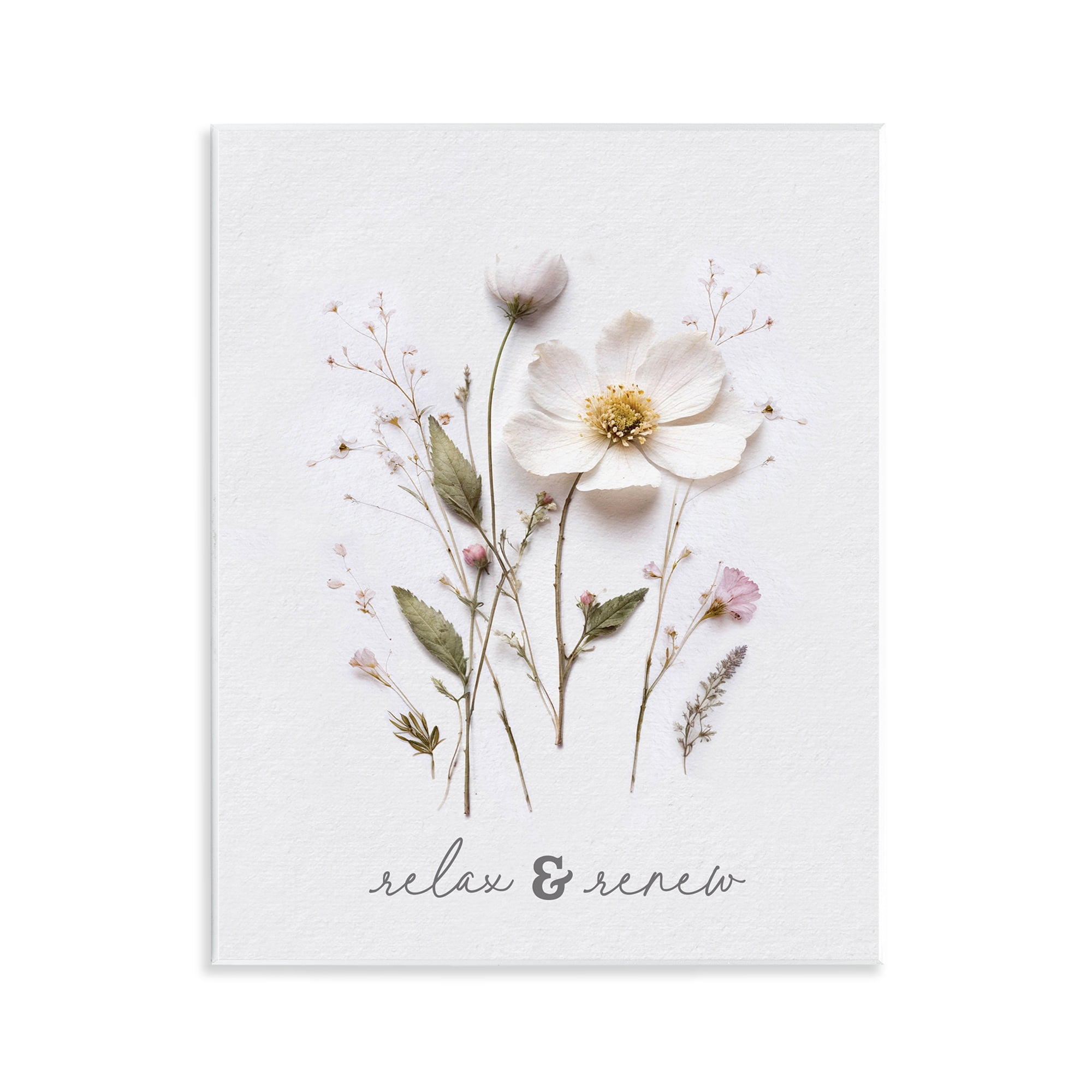 Pressed Flower Relax & Renew Wall Plaque Art, design by Lettered and Lined