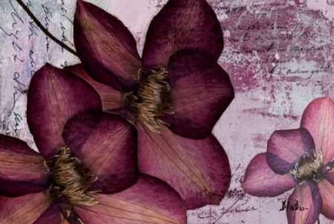 Pressed Flowers II Canvas Art - Patricia Pinto (20 x 28)