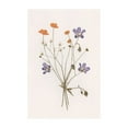 thumbnail image 1 of Pressed Flowers No1 Print Wall Art, Modern Wall Decor For Living Room Bedroom, 8x12 UNFRAMED, 1 of 2
