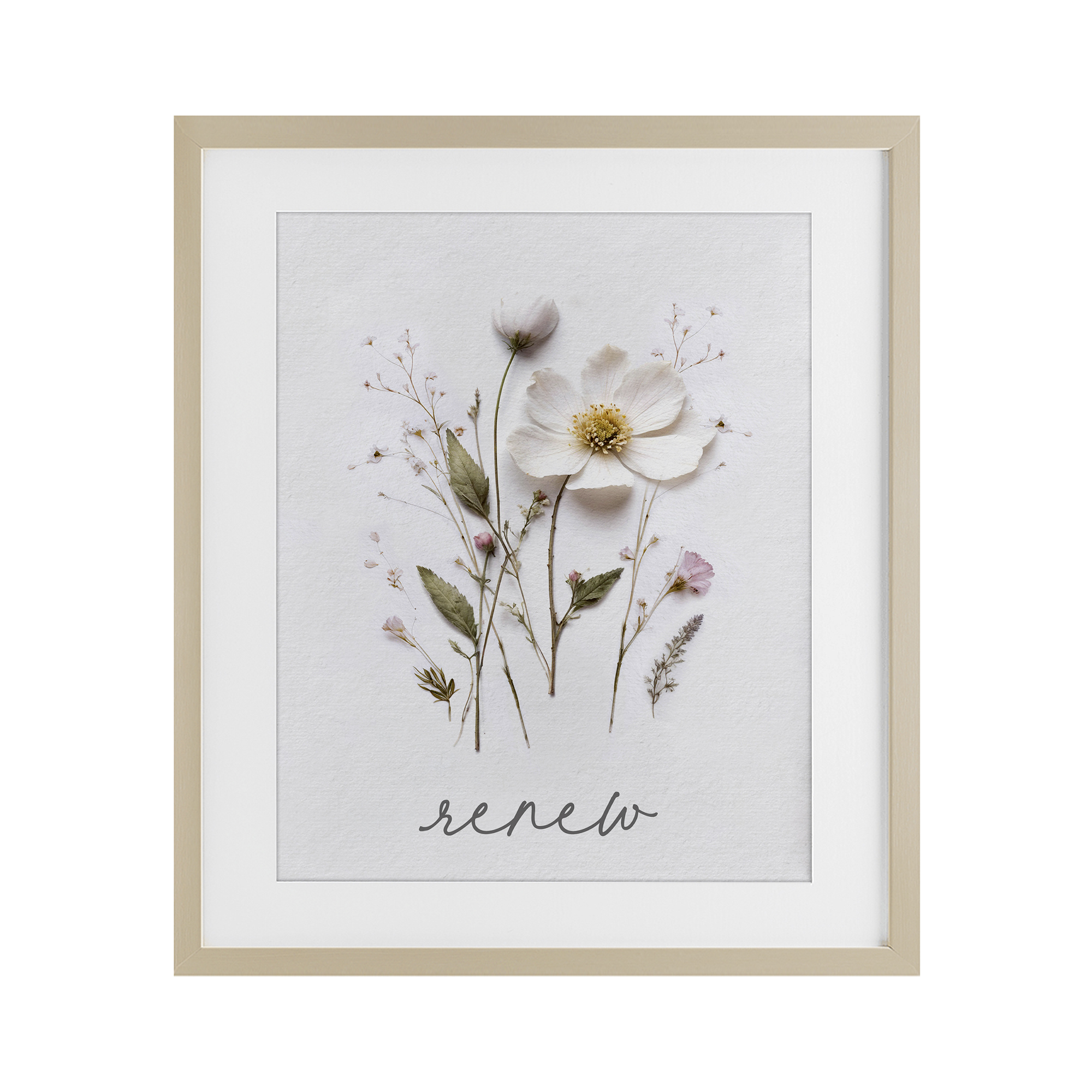 Pressed Flowers Renew Birch Framed Print Under Glass, design by Lettered and Lined
