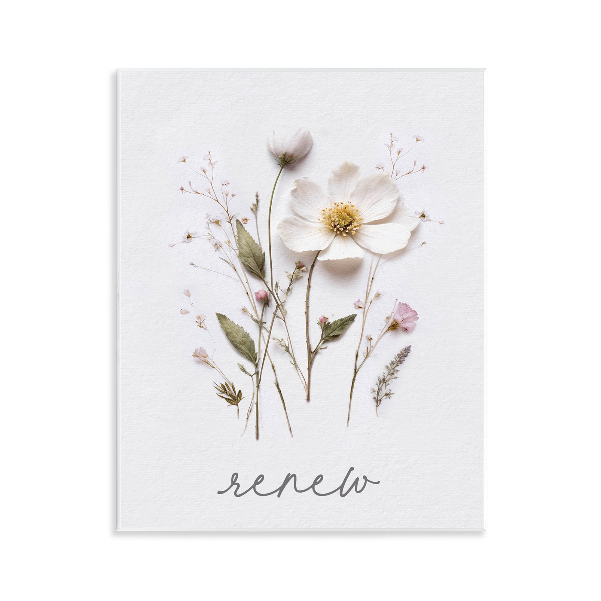 Pressed Flowers Renew Wall Plaque Art, design by Lettered and Lined