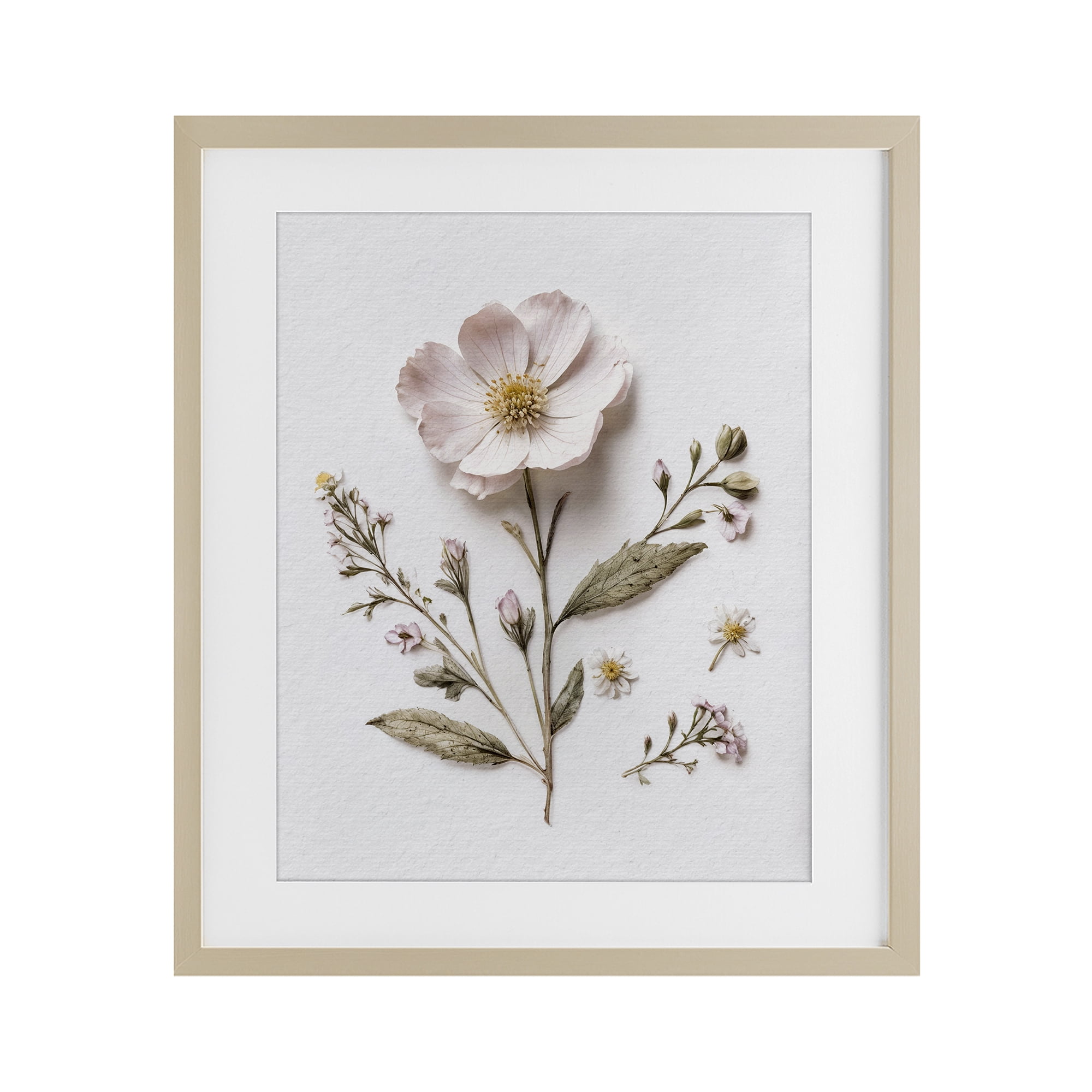 Pressed Wild Flowers Birch Framed Print Under Glass, design by Lettered and Lined