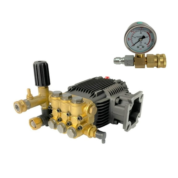 Pressure Gauge 5000 5800PSI 3/8 Quick Connector & Triplex Power Washer Pump 3.1 GPM 3000 psi 6.5 HP 3/4" Shaft For CAT For General For AR For Comet Replaces Mi-T-M 3-0414 3-0297 3-0413