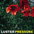 thumbnail image 1 of Pressure (LP), 1 of 1