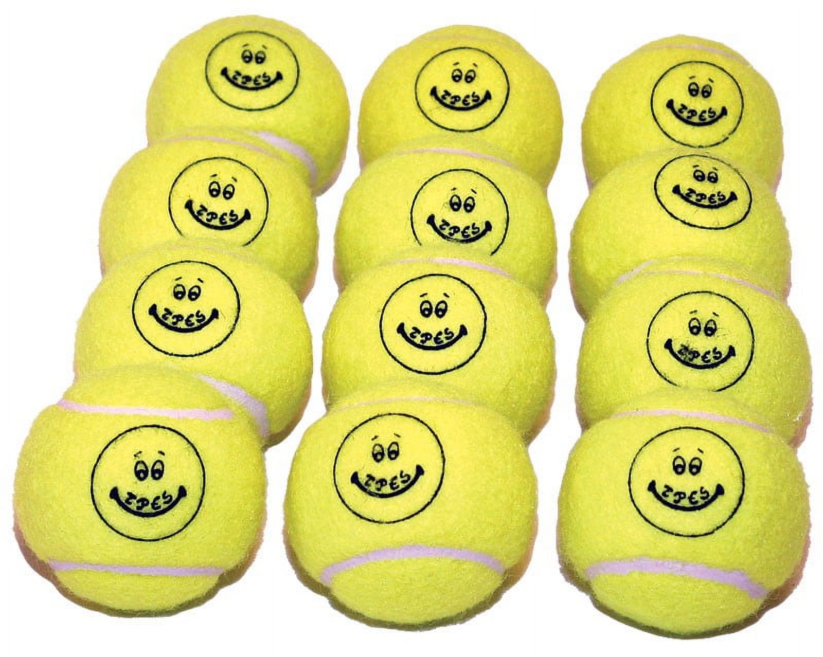 Pressureless Tennis Balls Case of 144