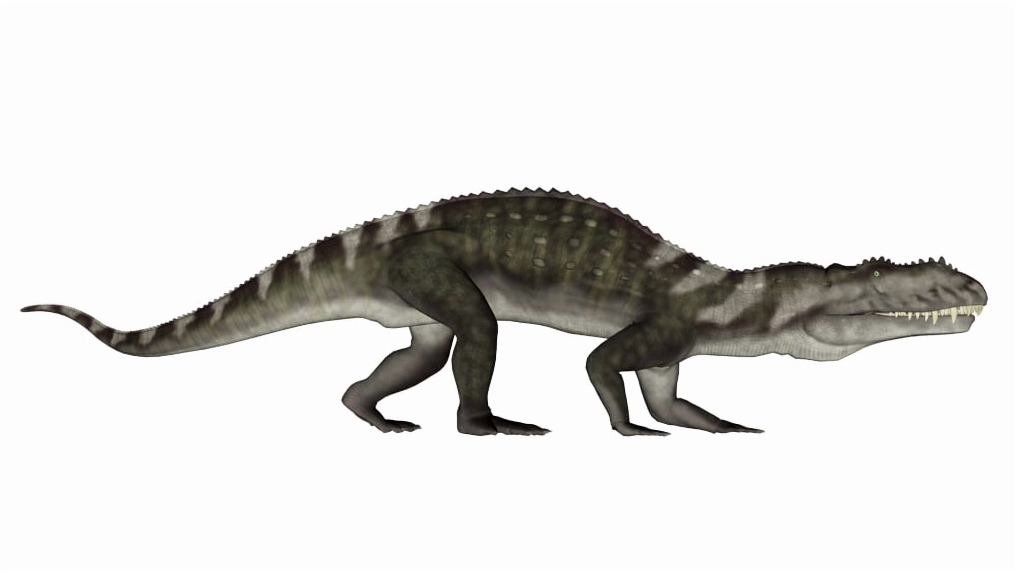 Prestosuchus dinosaur Canvas Art - Elena DuvernayStocktrek Images (19 x 11)