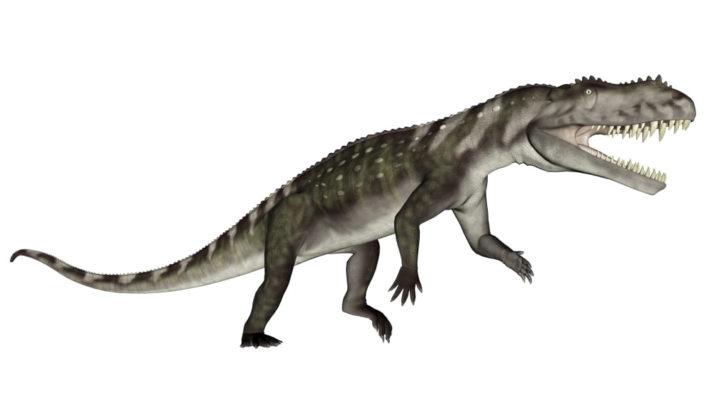 Prestosuchus dinosaur roaring Canvas Art - Elena DuvernayStocktrek Images (37 x 21)