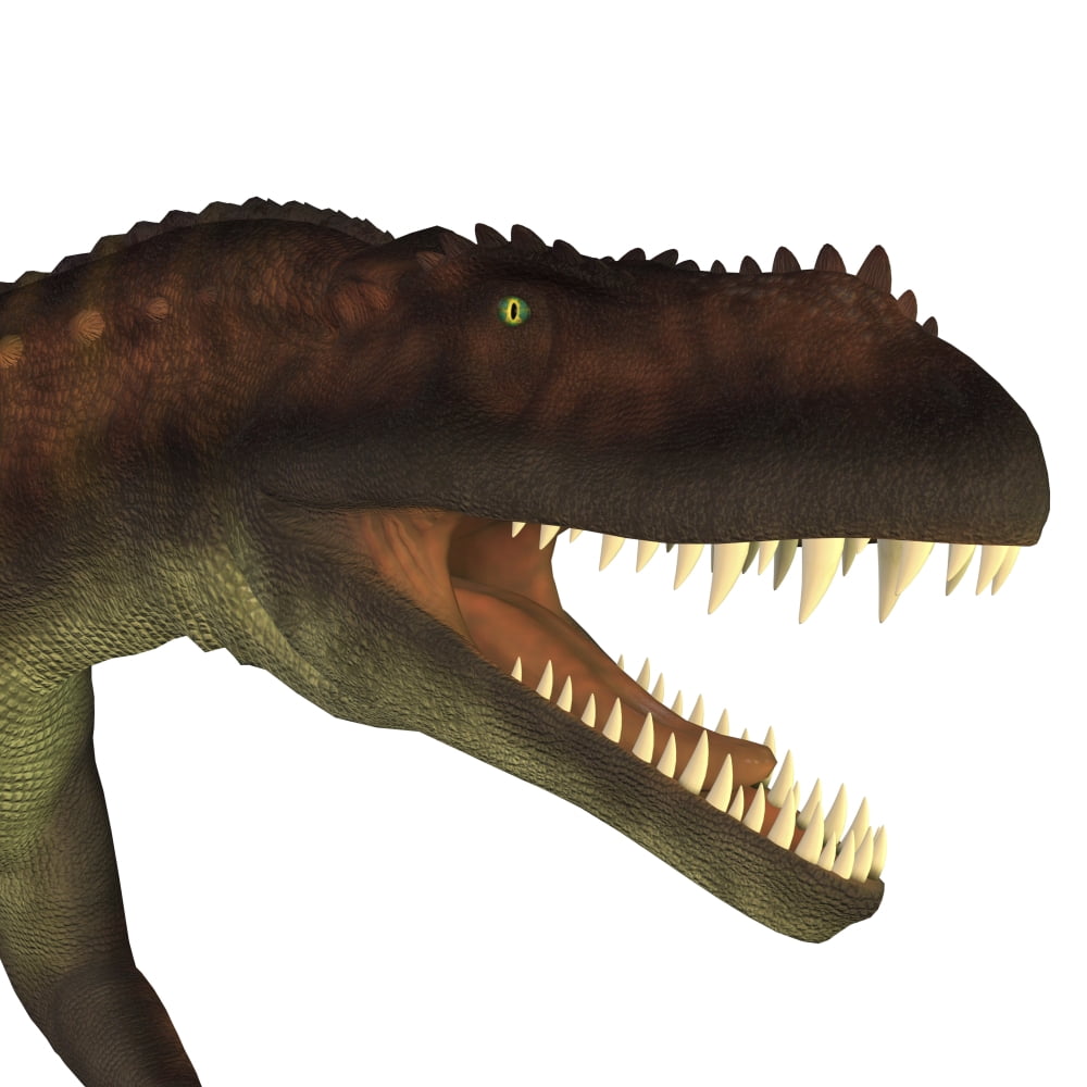 Prestosuchus portrait on white background Canvas Art - Corey FordStocktrek Images (28 x 28)