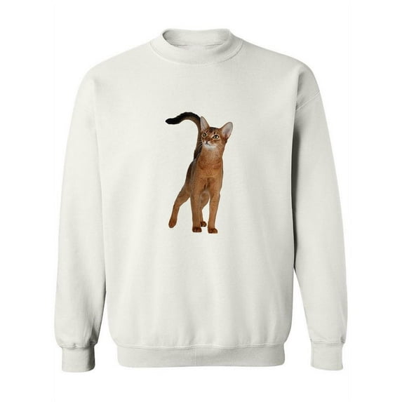 Pretty Abyssinian Cat Gazing Sweatshirt Women -Image by Shutterstock, Female 5X-Large