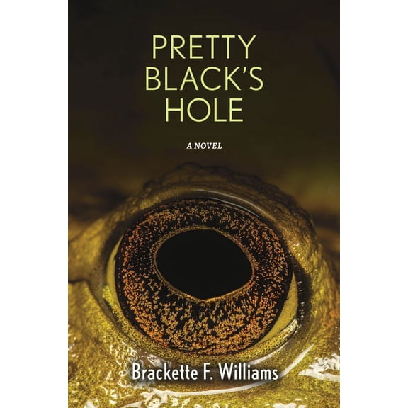 Pretty Black's Hole : A Novel (Paperback)