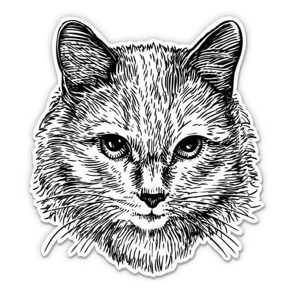 Pretty Cat Drawing Kitty - 12" Vinyl Sticker Waterproof Decal