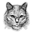 thumbnail image 1 of Pretty Cat Drawing Kitty - 7" Vinyl Sticker - For Car Laptop I-Pad - Waterproof Decal, 1 of 1