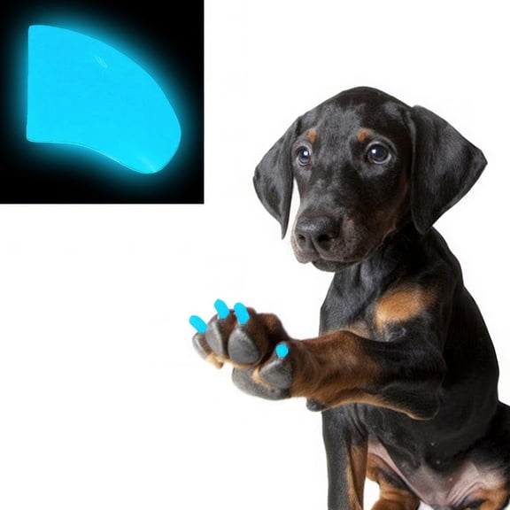 Pretty Claws Bahama Blue Glow In The Dark Nail Caps for Dogs - X-Large Size - 60 Pack ~ Stylish