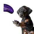 thumbnail image 1 of Pretty Claws Blackberry Glitter Nail Caps for Dogs - Medium Size - 60 Pack ~ Stylish, 1 of 4