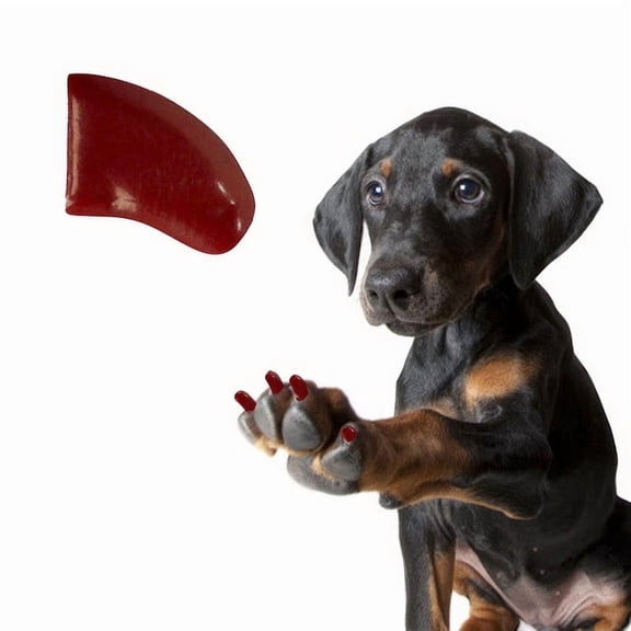 Pretty Claws Chocolate Brown Nail Caps for Dogs - Large Size - 60 Pack ~ Stylish