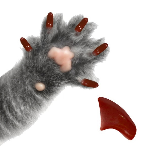 Pretty Claws Chocolate Brown Nail Caps for Cats - Medium Size - 60 Pack ~ Stylish