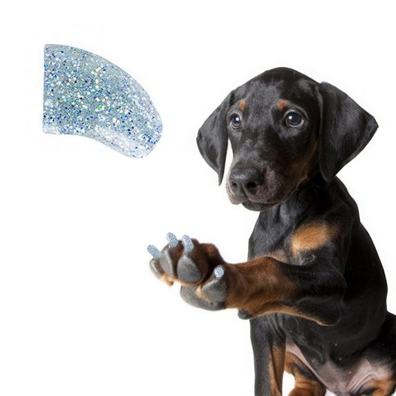 Pretty Claws Confetti Glitter Nail Caps for Dogs - Large Size - 60 Pack ~ Stylish