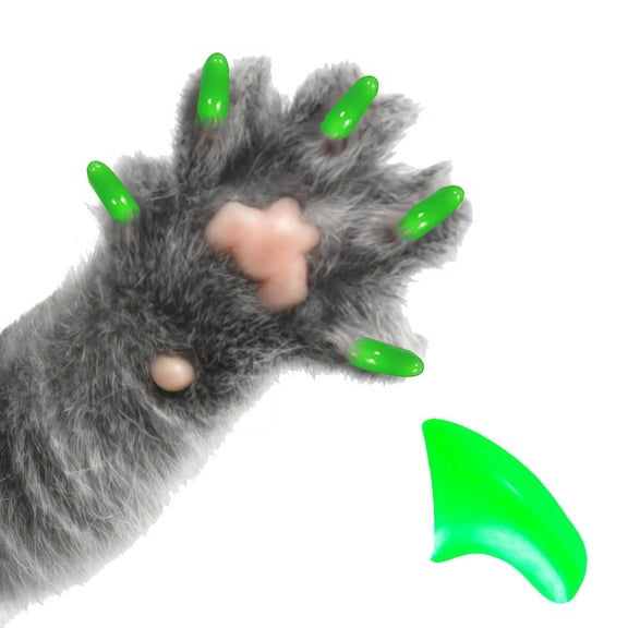Pretty Claws Cool Mint Green Nail Caps for Cats - Large Size - 60 Pack ~ Stylish