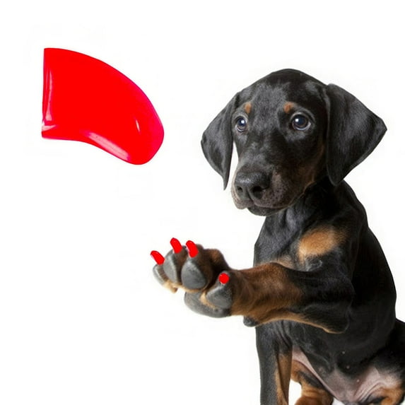Pretty Claws Fluorescent Red Nail Caps for Dogs - X-Large Size - 60 Pack ~ Stylish
