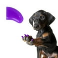 thumbnail image 1 of Pretty Claws Grape Nail Caps for Dogs - Medium Size - 60 Pack ~ Stylish, 1 of 4