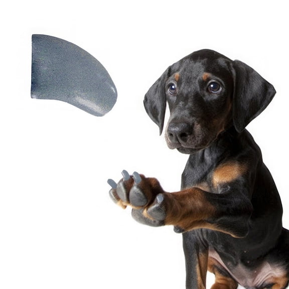 Pretty Claws Gunmetal Grey Nail Caps for Dogs - Small Size - 60 Pack ~ Stylish