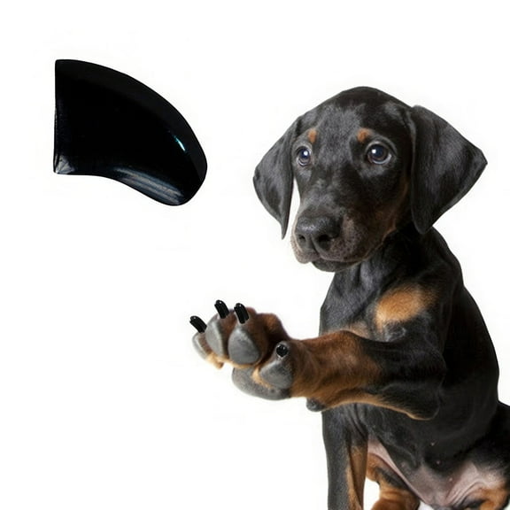 Pretty Claws Jet Black Nail Caps for Dogs - Large Size - 60 Pack ~ Stylish