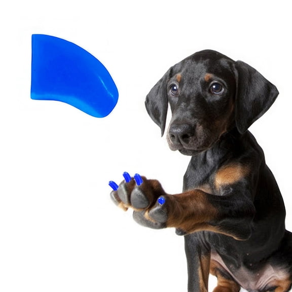 Pretty Claws Summer Sky Blue Nail Caps for Dogs - Jumbo Size - 60 Pack ~ Stylish