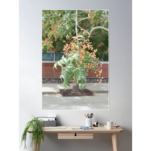 Pretty Dangling Tree Branch Poster Wall Art, Modern Wall Decor For Living Room Bedroom, 12x18 UNFRAMED