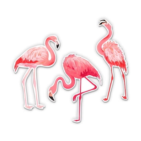 Pretty Flamingos set of 3 - 3" Vinyl Sticker - For Car Laptop I-Pad Phone Helmet Hard Hat - Waterproof Decal