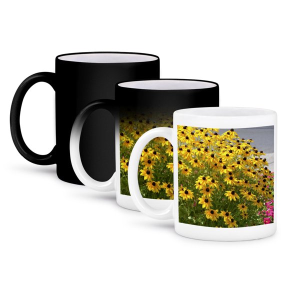 Pretty Garden Of Yellow Black Eyed Susan Flowers - Floral Print, 11oz Magic Transforming Mug